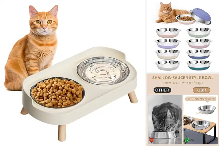 Detailed view of Best Cat Bowls: Top 10 Picks for Happy, Healthy Meals