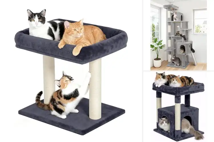 Detailed view of Best Cat Perch Trees: Stable, Comfy & Easy to Assemble