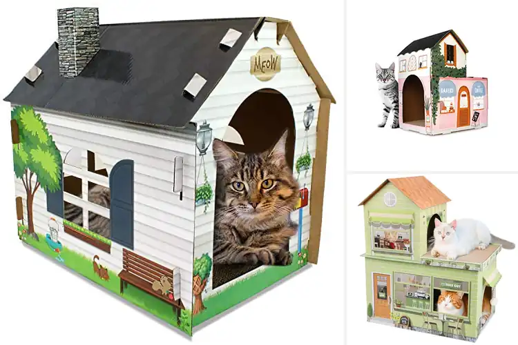 Detailed view of Best Cat Playhouses: Turn Your Home into a Cat Paradise