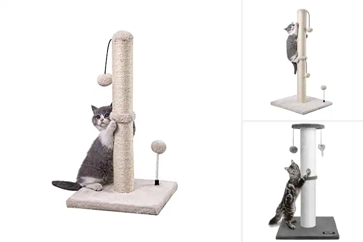 Detailed view of Best Cat Scratching Posts: Keep Your Furniture Scratch-Free