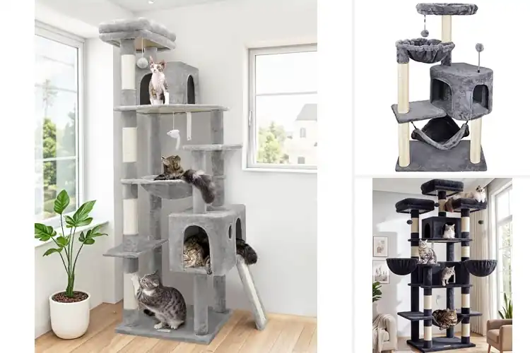 Detailed view of Best Cat Towers: Give Your Cat Climb, Scratch & Cozy Spots