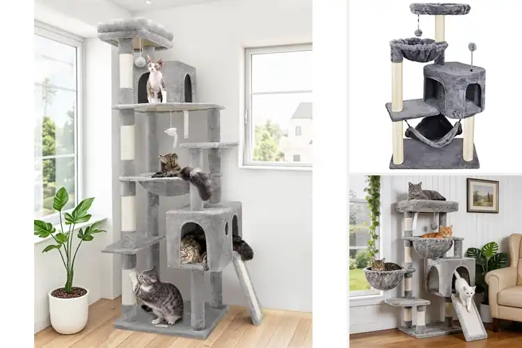 Detailed view of Best Cat Trees