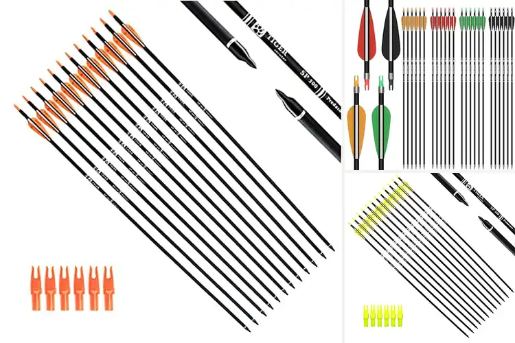 Detailed view of Best Compound Archery Arrows