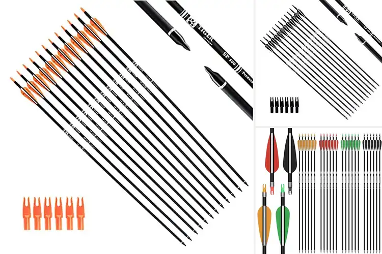 Detailed view of Best Compound Bow Arrows