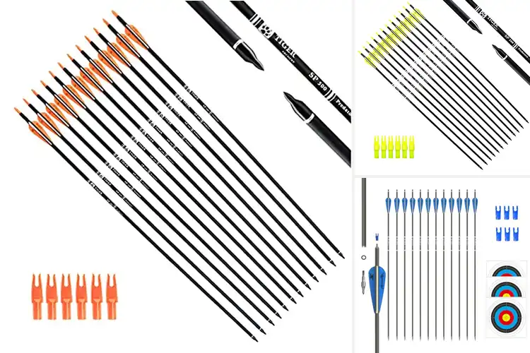 Detailed view of Best Hunting Target Arrows