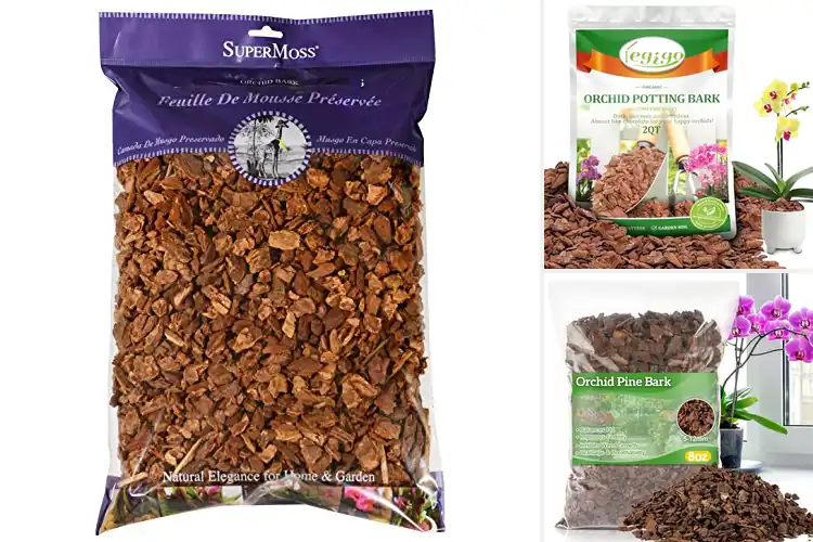Detailed view of Best Indoor Potting Mulches for Healthy Plants
