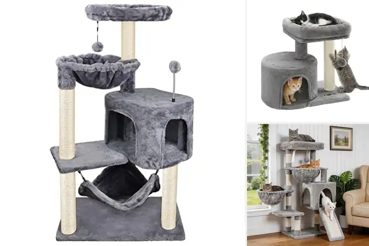 Detailed view of Best Kitten Trees