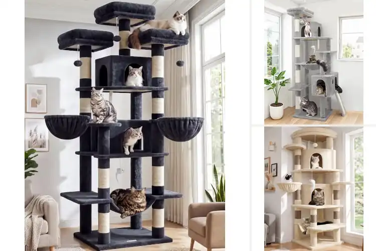 Detailed view of Best Large Cat Trees