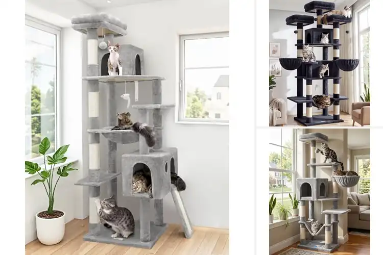 Detailed view of Best Multi-Level Cat Trees: Keep Your Cats Happy & Active