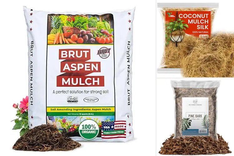 Detailed view of Best Natural Plant Mulches