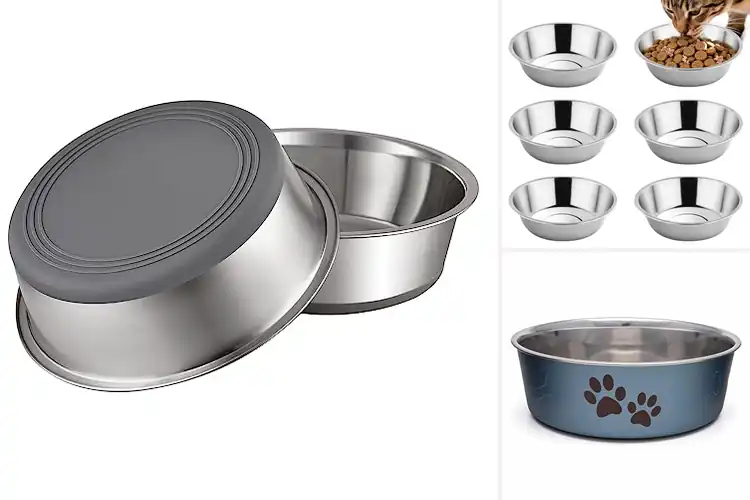 Detailed view of Best Pet Bowls