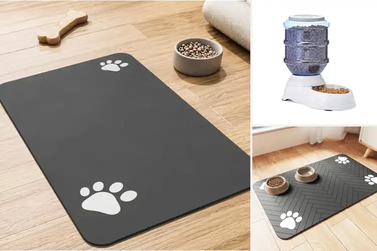 Detailed view of Best Pet Feeding Accessories