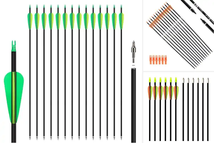 Detailed view of Best Practice Arrows: Top Picks to Boost Your Archery Skills
