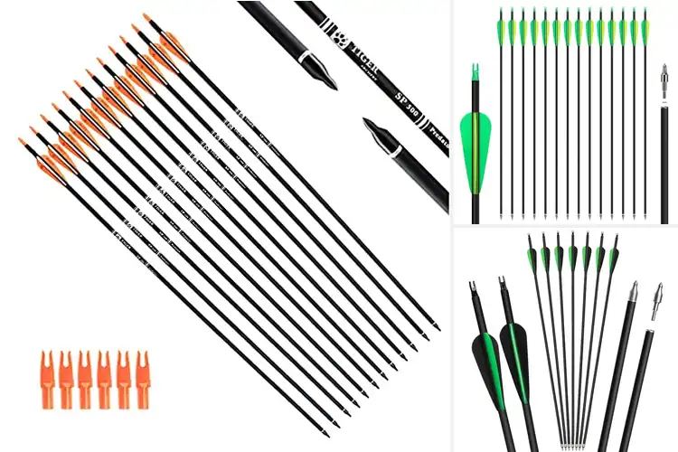 Detailed view of Best Practice Carbon Arrows