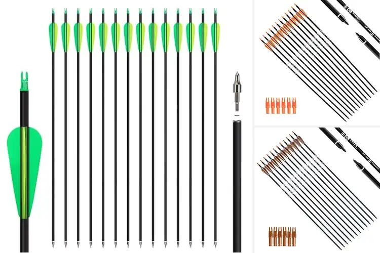 Detailed view of Best Removable Tip Arrows