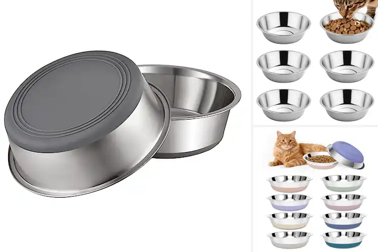 Detailed view of Best Stainless Steel Pet Bowls