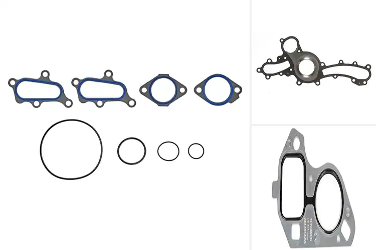 Detailed view of Best Vehicle Pump Gaskets